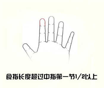 灵犀痣相课堂:从手指长短看你适合啥工作？