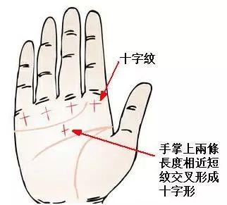 灵犀手相课堂:没有偏财运的手相