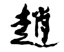灵犀起名知识:胡姓的来源及分布