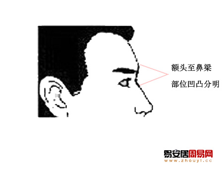 额头至鼻梁部位凹凸分明