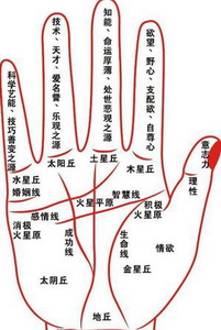 灵犀手相课堂:哪些手相的男人最能赚钱