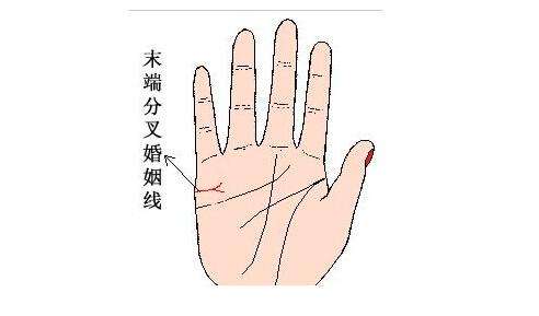 灵犀痣相课堂:手相怎么看早婚还是晚婚