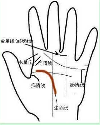 灵犀痣相课堂:手纹图解看你的感情问题