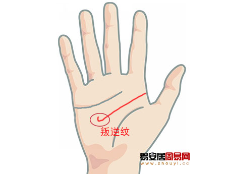 智慧线倒钩