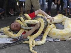 梦见很多蛇缠身