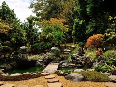 梦见屎沾身