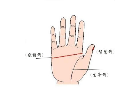 灵犀手相课堂:手相图解：假断掌手相的类型和区别