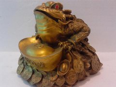 梦见金蟾