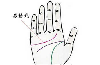 灵犀痣相课堂:手相图解：感情线上长痣有什么含义？