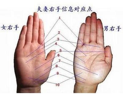 灵犀痣相课堂:教你如何看手相