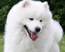 灵犀名字大全:萌到炸的小仙女网名 比较招男生喜欢的网名