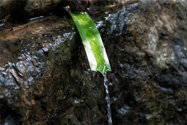 梦见山泉水