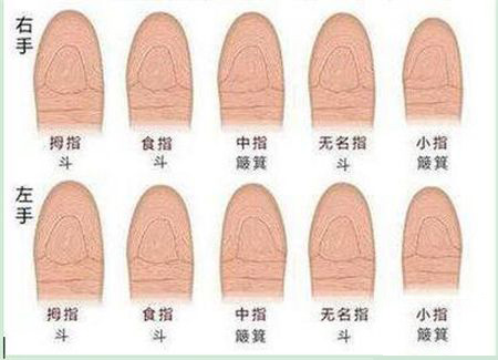 灵犀痣相课堂:容易出人头地的手相有哪些?