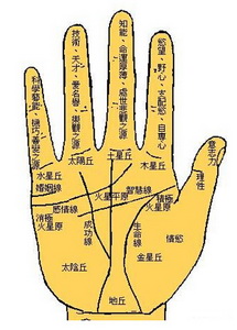 灵犀手相课堂:从手相疤痕看你要注意什么