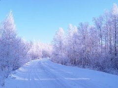 梦见大雪