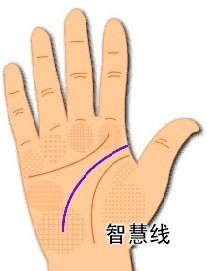 灵犀手相课堂:从手相智慧线看你有多聪明？