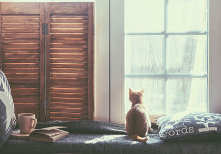 灵犀宝宝起名:猴宝宝起名宜用的部首