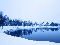 梦见下大雪