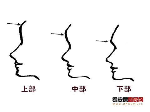 额头部位