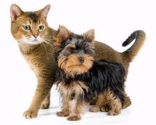 灵犀游戏名字:猥琐不要脸的游戏昵称有哪些——巭孬嫑夯昆