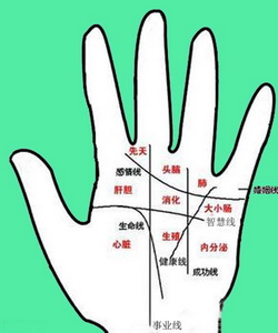 灵犀手相课堂:从掌纹中看隐藏的病症