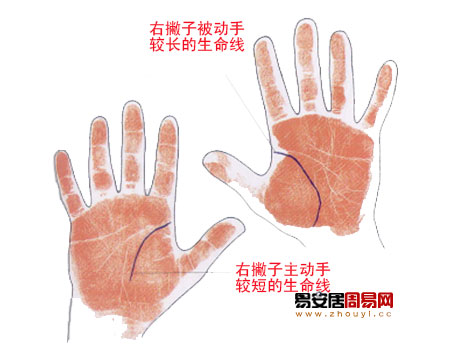 双手生命线不一致