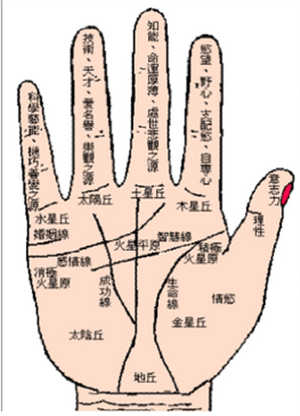 灵犀手相课堂:女人的手纹乱有什么预示？