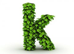 灵犀英文起名：K开头的女生英文名字大全