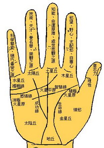 灵犀手相课堂:从手相上看你是否会一夜暴富