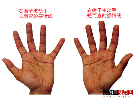 双手感情线不一致