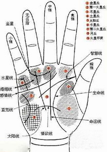 灵犀手相课堂:6种手相最不缺钱花