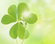 灵犀名字大全:凄美落寞伤感的QQ网名大全