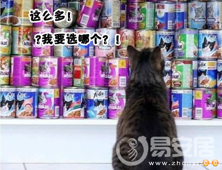 什么面相的人最没有主见