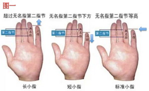灵犀手相课堂:小指的长度看你的婚姻运