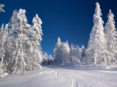 梦见冰天雪地