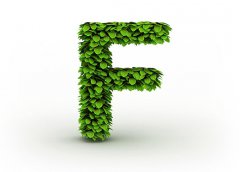 灵犀英文起名：F开头的女生英文名字大全