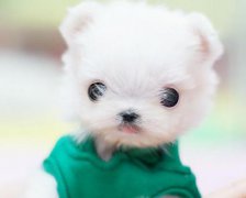 灵犀公司起名:公司起名:店铺起名吉凶如何看