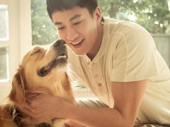梦见前男友不理我