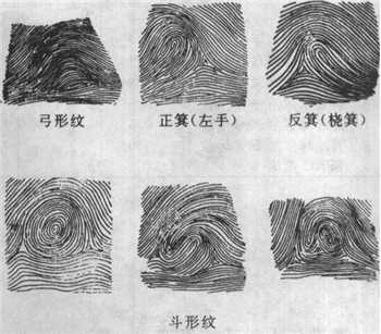 灵犀痣相课堂:大拇指暴露了你的性格秘密