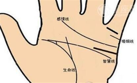 灵犀手相课堂:哪五种人手相易功成名就