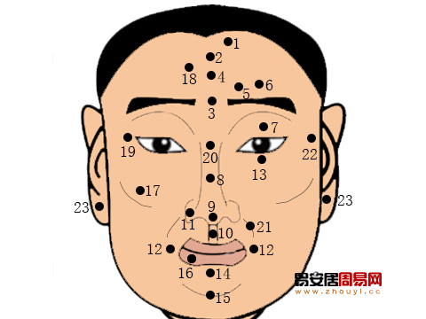 面痣的位置与命运图解