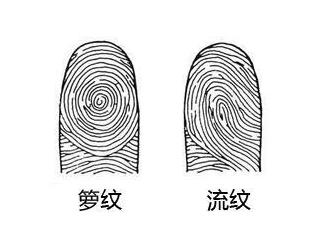 灵犀痣相课堂:手上指纹判断人生运势