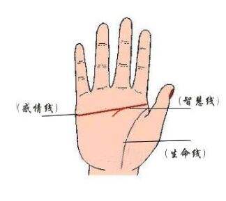 灵犀痣相课堂:男人假断掌运势如何
