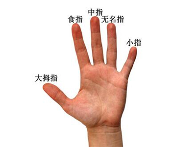 灵犀痣相课堂:财运好坏看手指 手指长短影响财运