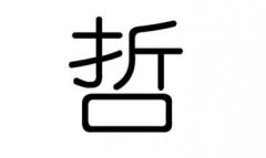 起名字典:智字在五行中属什么?