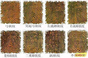 灵犀手相课堂:从食指看你的爱情运势如何