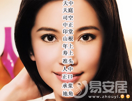 面相十三部位图解