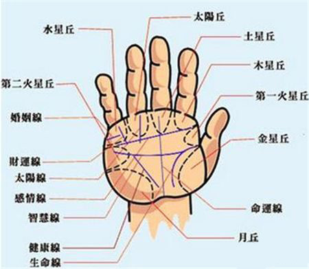 灵犀痣相课堂:手相看最适合自己的赚钱方式