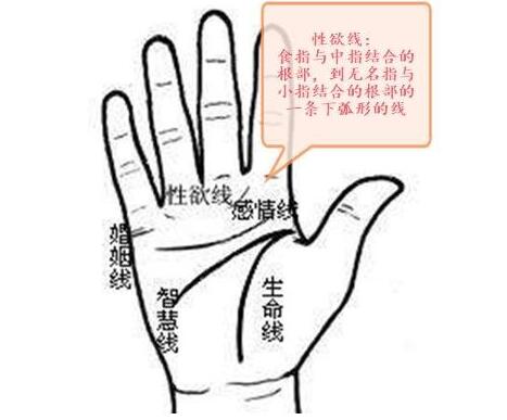 灵犀痣相课堂:男人是否花心?看手相就知道了
