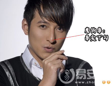 鹰钩鼻面相算命图解
